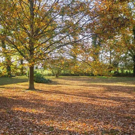 Casa vacanze Spacious With Garden