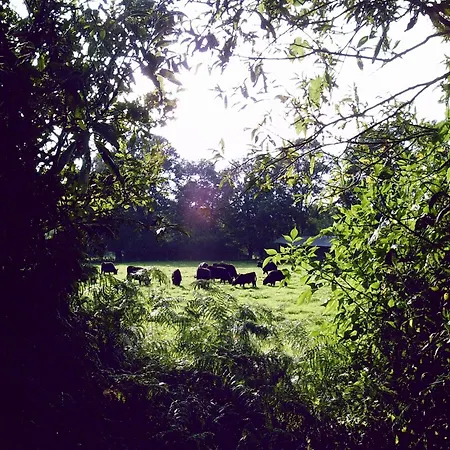 Casa de Férias Spacious With Garden