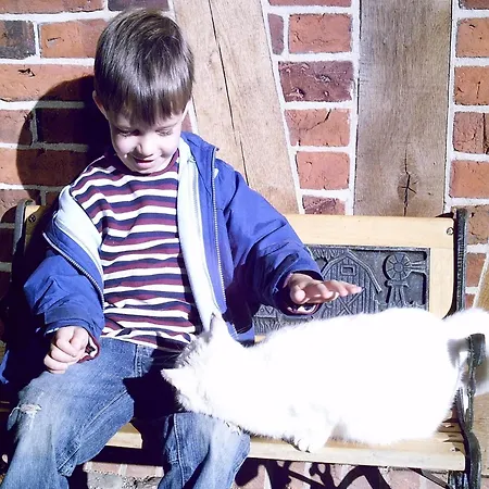 Spacious With Garden *