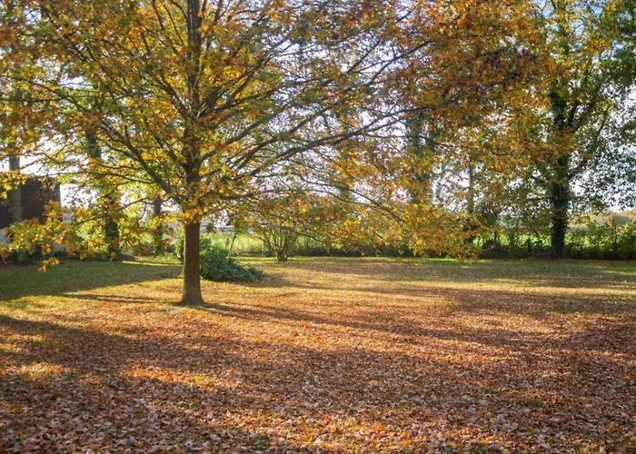 Hébergement de vacances Spacious With Garden