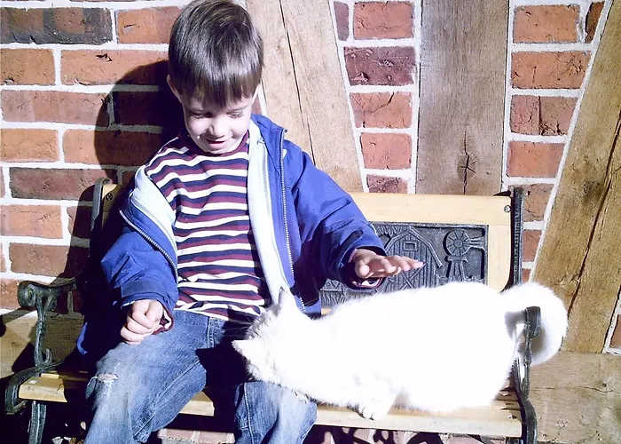 Hébergement de vacances Spacious With Garden Langlingen